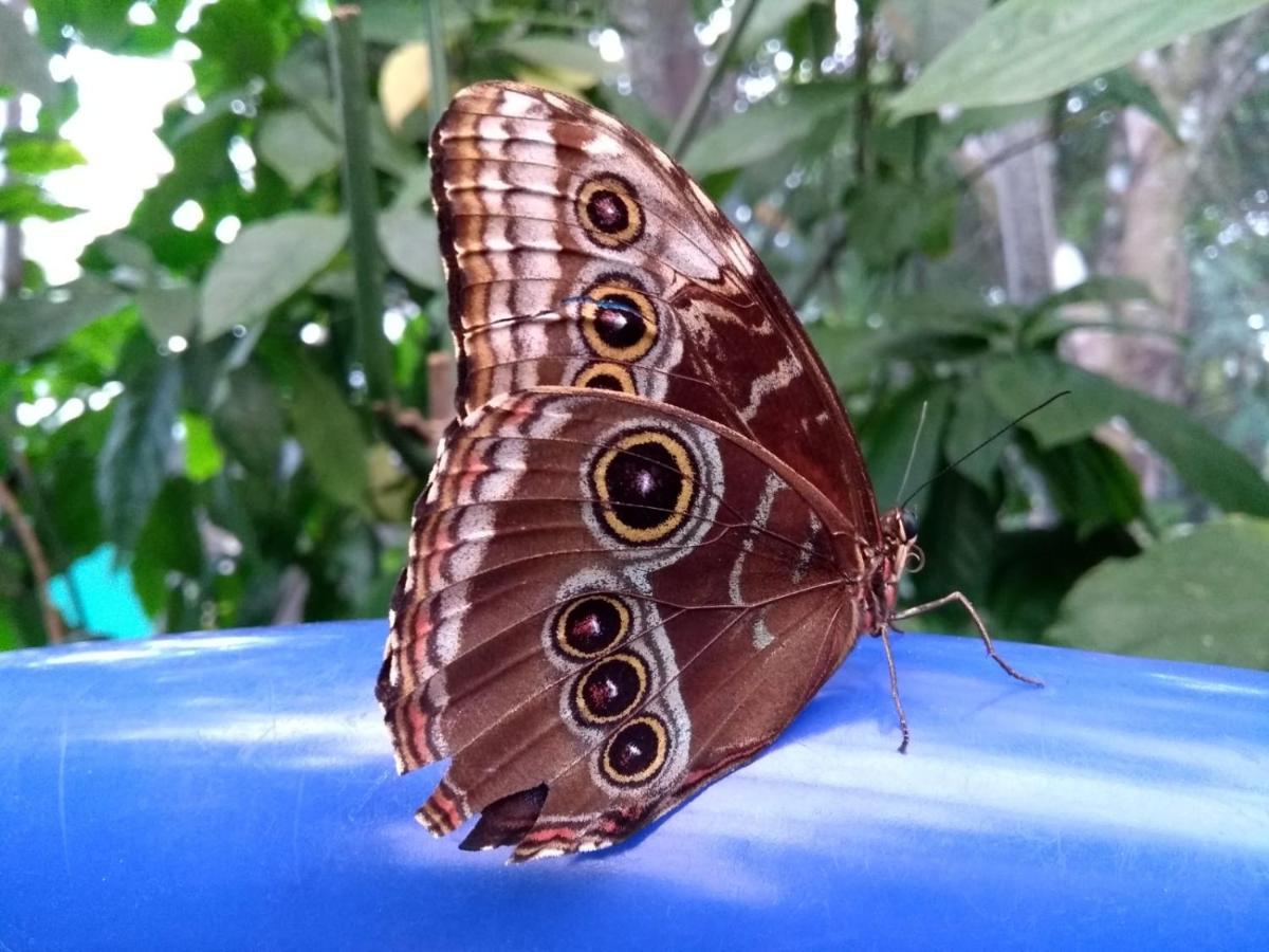 הוילה El Valle de Anton Casa India Dormida מראה חיצוני תמונה